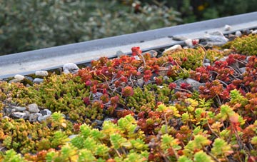 the cost of Cookham Dean green roof installation